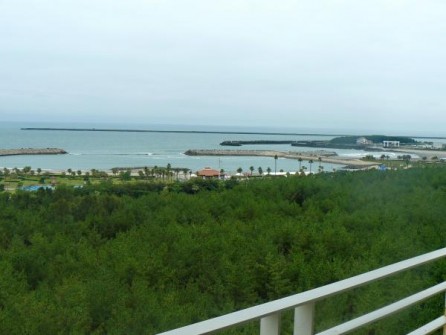 Miyazaki: 
The view from the balcony. 
バルコニーからの眺め