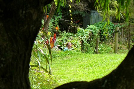 A great Meditation spot on the property
敷地内にこんな素晴らしい瞑想のできるところが。
