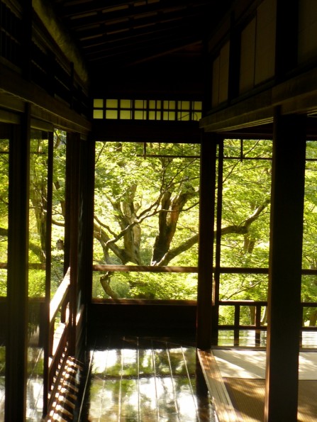 Magical light at Rurikouin in Kyoto