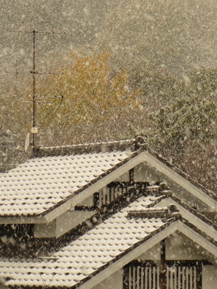 出発の朝の鎌倉は雪
Snow in Kamakura on our departure day...