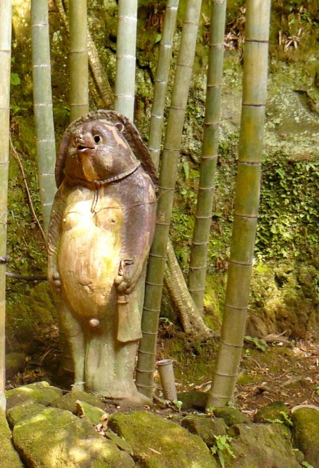 KAMAKURA: So funny and so alive, 'holy' Rakun dog in Jojichi