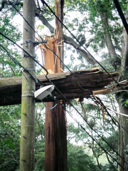 KAMAKURA: Lot's of damage at Jojichi after the wild Typhoon