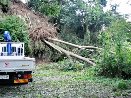 KAMAKURA: The cleanup after the Typhoon is a massive task